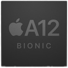 logo puice A12 bionic apple